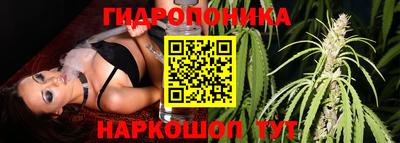гашик Наро-Фоминск