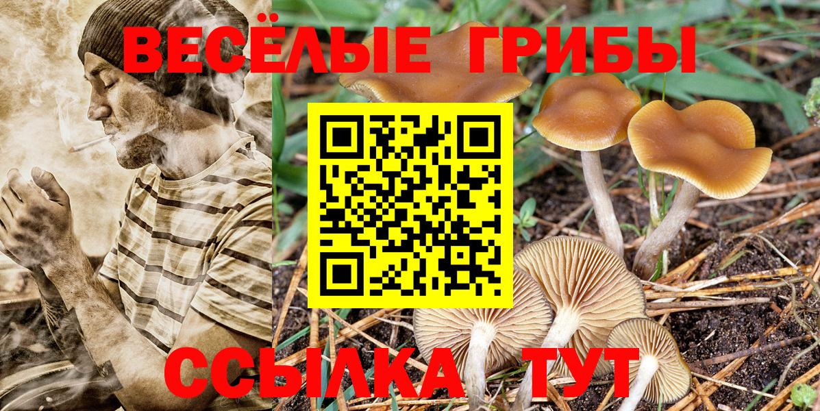 Галлюциногенные грибы мухоморы Тула