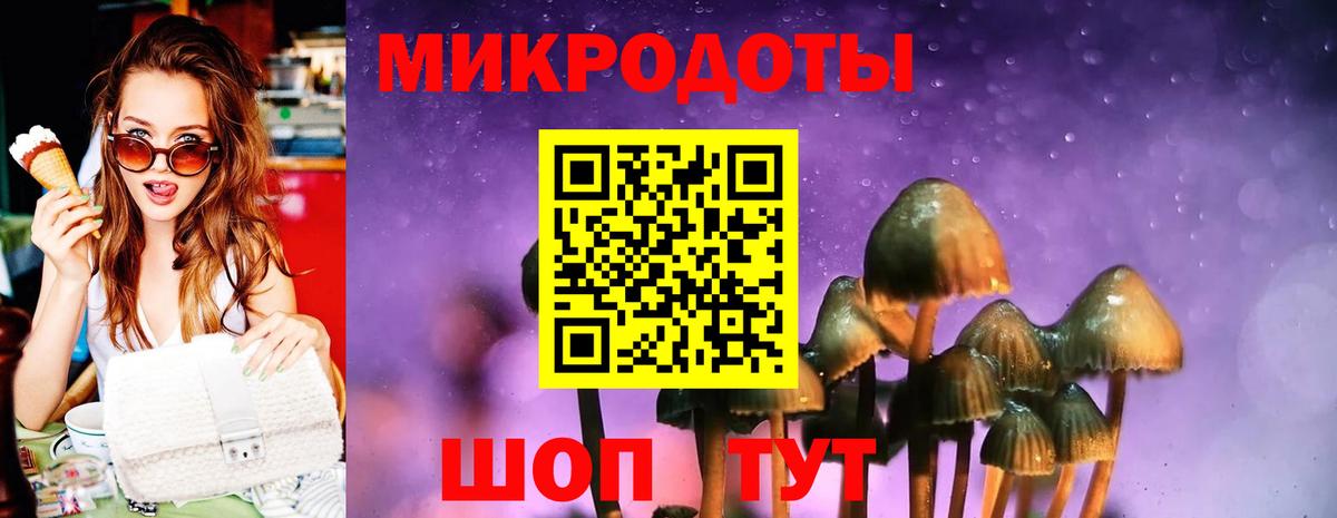 Тула  Псилоцибиновые грибы мицелий  наркота  Вход с VPN 